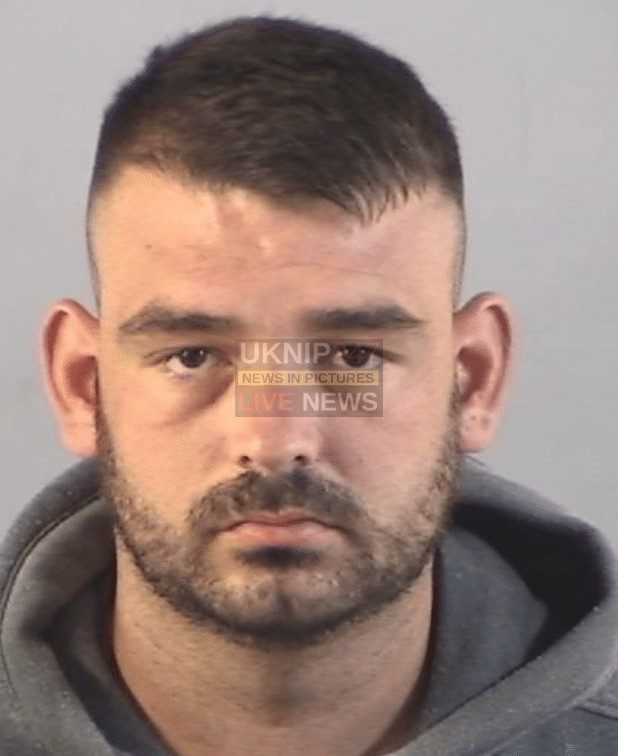 Drink Driver Jailed After Man Killed On Pony And Trap In Southampton