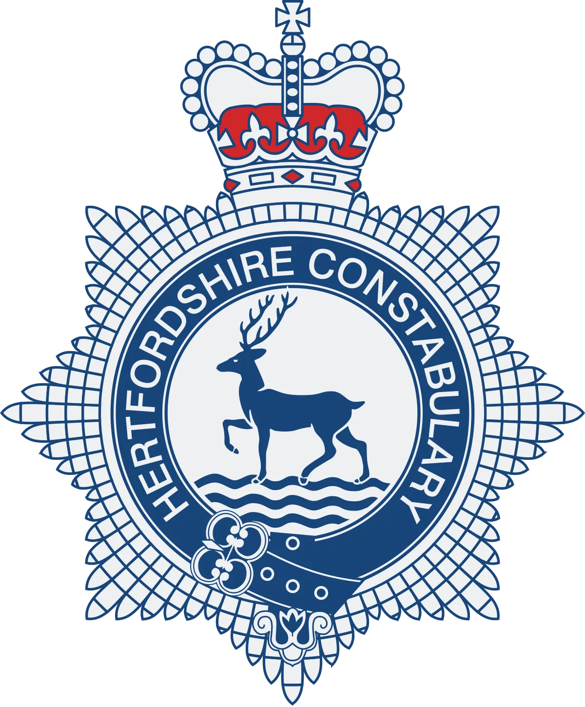 Hertfordshire Cop Sacked for Brutal Arrest After Pushing Man’s Face Into Police Car