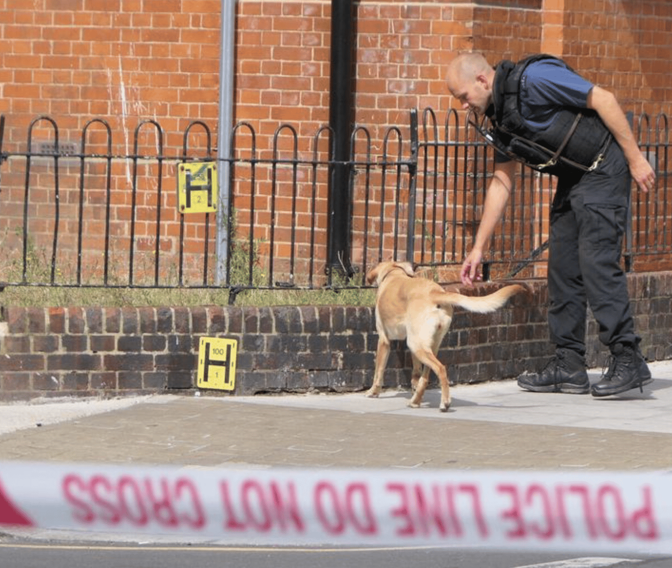 A 23-year-old Man Has Been Arrested On Suspicion Of Assault And Attempted Rape In Tower Hamlets