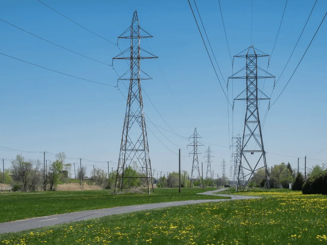 The National Grid has decided not to run its first-ever real-life initiative to pay households to reduce their electricity use on Tuesday…