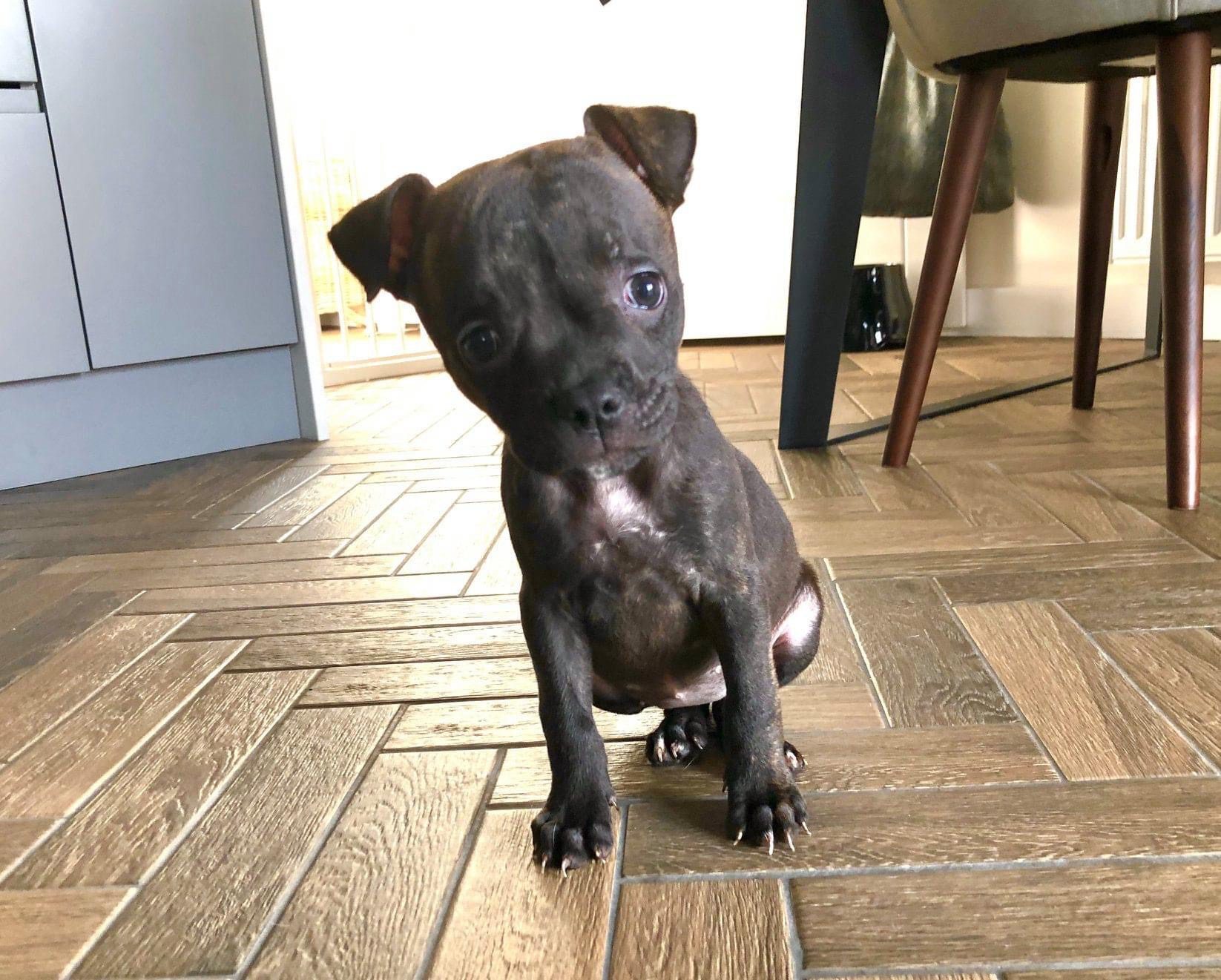 A Disgruntled Pizza Delivery Driver Attacked And Robbed His Boss After He Had Earlier Told Him He Was Unfit For Work