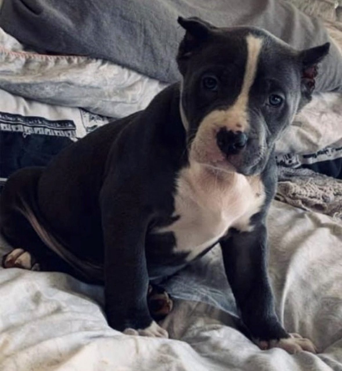 Witnesses Are Sought Following A Reported Robbery At A Home In Minster, Sheppey.