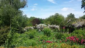 Police Are Appealing To The Public For Information As Part Of An Investigation Into Two Linked Sex Offences Reported In Peckham Rye Park, Se15