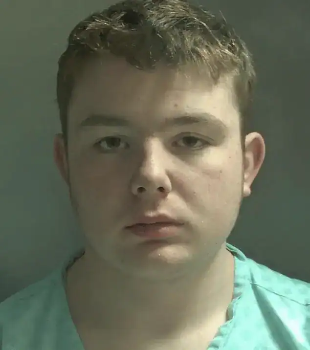 Teenager jailed after 150mph police chase linked to Essex and Beds burglary spree