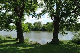 Protesters Scaling The Side Of The Home Office Building In London