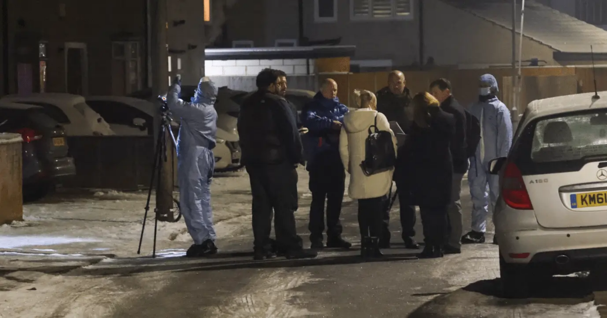 An Investigation Has Been Launched Into The Deaths Of Two Children In Dagenham