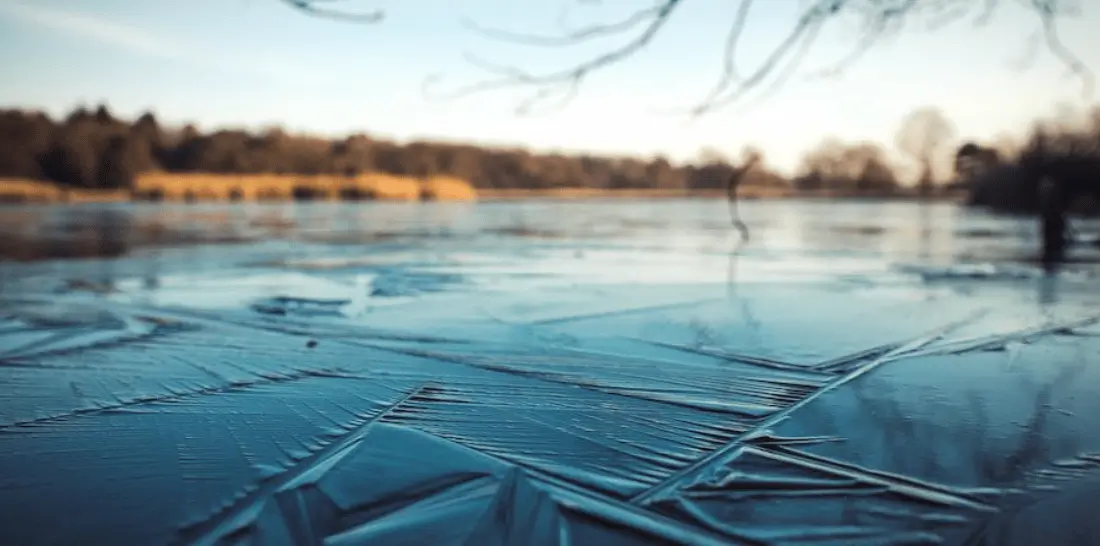 Firefighters’ Ice Rescue Heroics Save Woman and Two Dogs from Frozen Himley Park Lake
