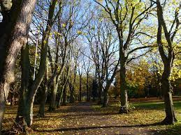 Witnesses Are Being Sought After A Woman Reported Being Repeatedly Kicked During A Robbery In A Margate Park