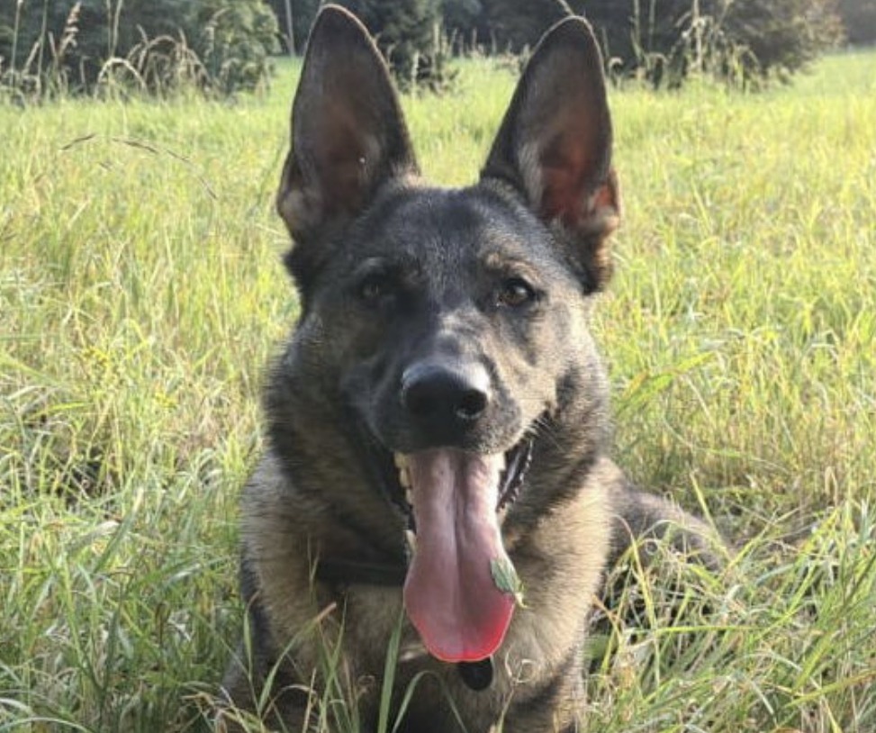 Two People Have Been Arrested Following A Report Of An Assault In St Stephens Walk, Ashford
