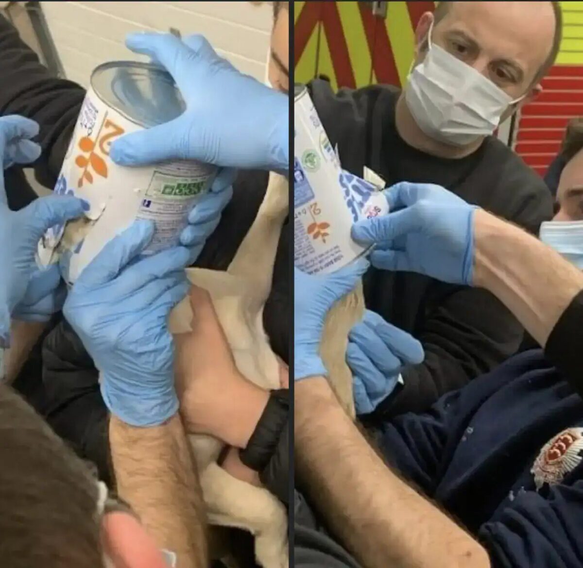 Firefighters helped to release a curious puppy who had managed to get stuck in a food tin