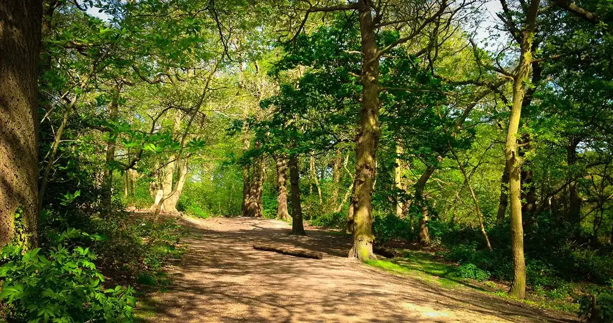 A man in his twenties was discovered dead in Oxleas Wood