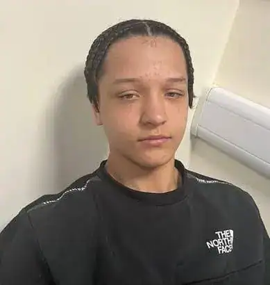 Cartel Bushnell, 14, is still missing, and  Police in Wiltshire need your help finding him