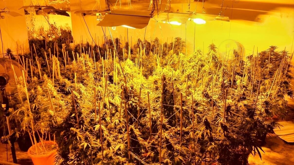 Officers Are Currently On The Scene At A Property Near Little London In Newport After Discovering Approximately 100 Cannabis Plants