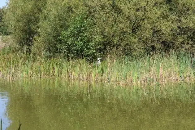 Police Are Appealing For Witnesses To An Incident Which Took Place At Dowd’s Farm Park, Off Wellstead Way, Hedge End
