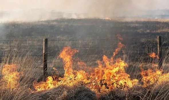 Kent Fire And Rescue Service Responded To Reports Of Ablaze Hedges And Grass In Galloways Road, Lydd, Romney Marsh