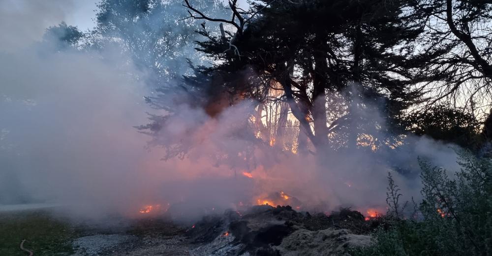 Firefighters Battle A Grass Fire In Havant That Has Spread To Nearby Trees