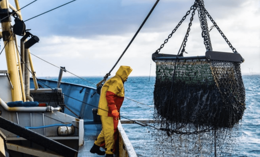 Eight People  Charged After Southampton Drugs Raids