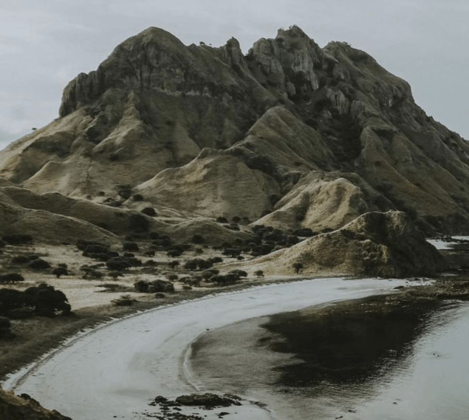 Police Find Woman's Body In Southampton House