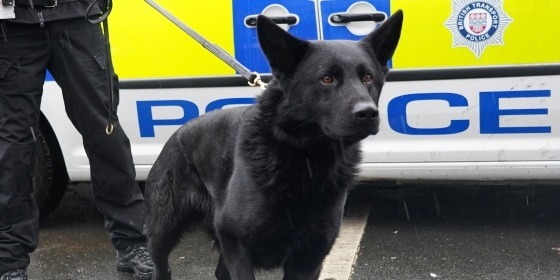 British Transport Office Evacuated After Chemical Alert