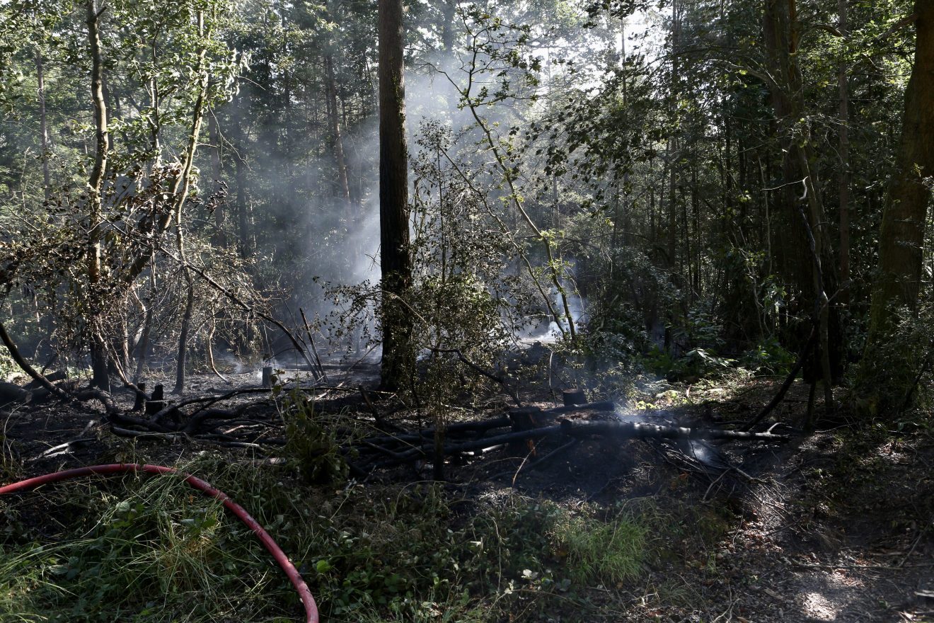Fire Rips Through Parkhurst Forest