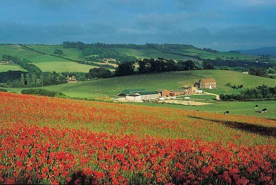 Uk Oil And Gas Plc Say They Are Going ‘full Speed Ahead’