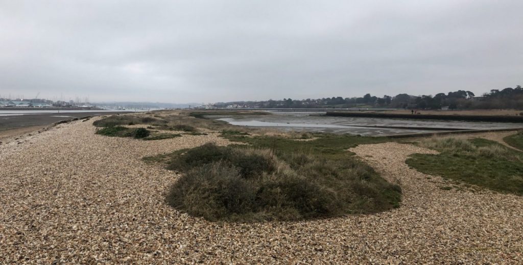 Major Search Launched For Vulnerable Warash Woman