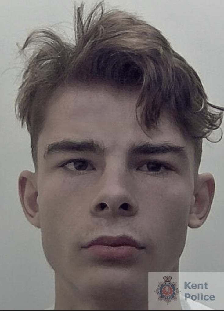 A Teenager Who Stabbed A Young Woman After Making Homophobic Comments To Her Friend Has Been Jailed