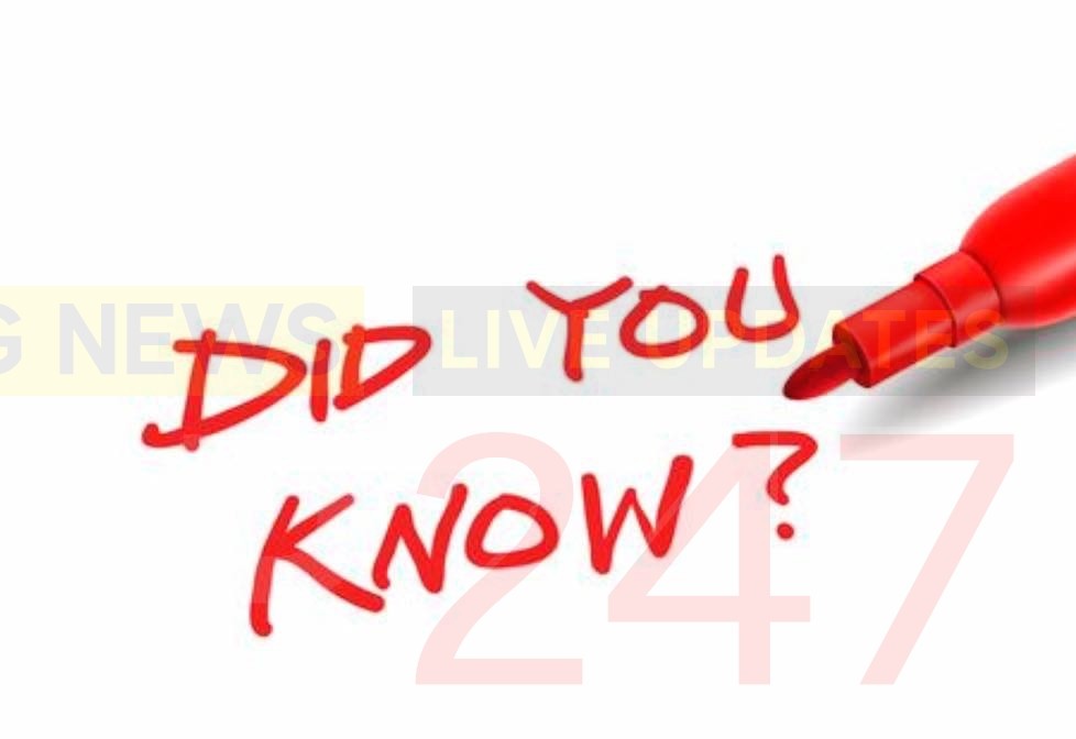 Did You Know Calls To 101 Aren’t Free