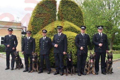 Palmer’s Puppies Given Seal Of Approval From Commissioner