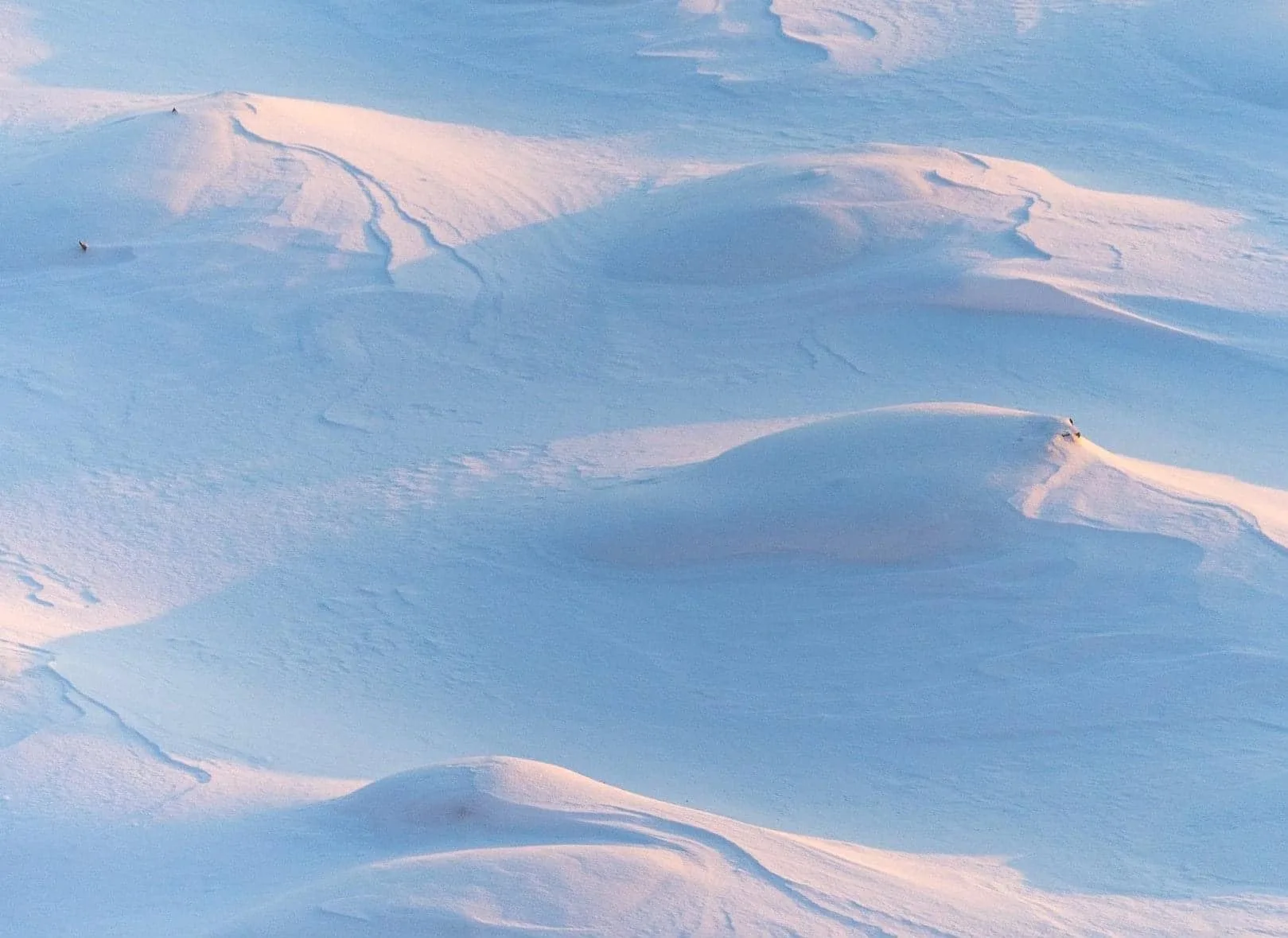 US Winter Fury Triggers 5,000+ Flight Cancellations, Deadly Freeze Claims 19 Lives