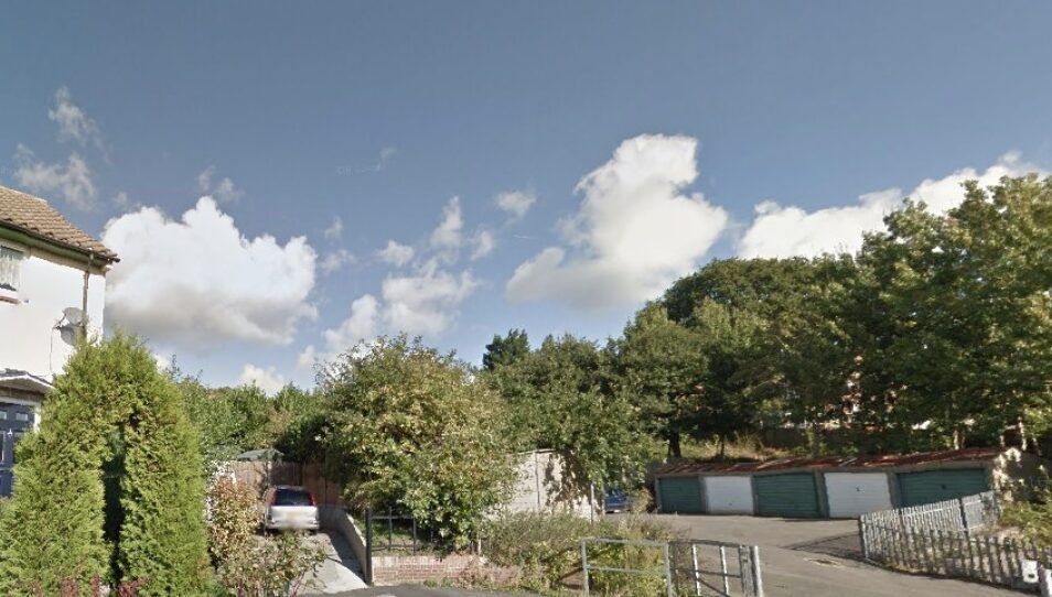 One of the victims, a woman aged in her 30s, was walking her dog from an alleyway into the garage block, when it is reported she was assa…