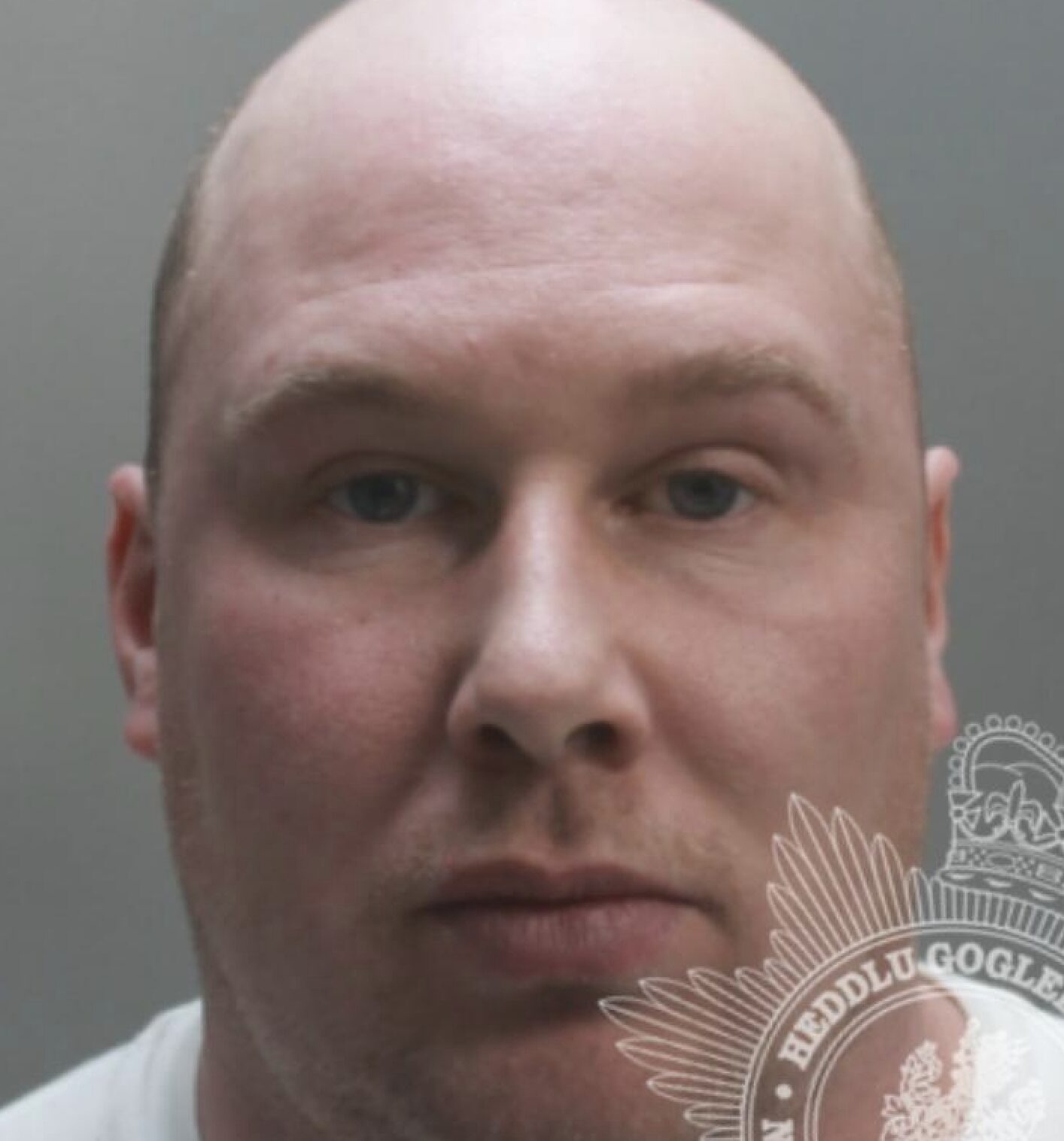 A Mold Man Has Been Sentenced To 20 Weeks Imprisonment After He Was Found Guilty Of Badger Baiting And Causing Dogs To Suffer With Their Injuries