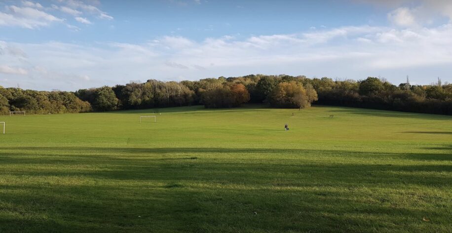 A Nine-year-old Boy Has Been Taken To Hospital With Injuries After He Was Attacked By A Dog In Langdon