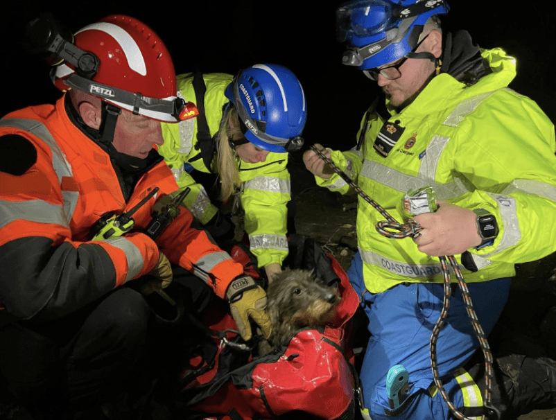 A Family Dog Walk Quickly Turned Into A Nightmare For Bear The Long-haired Dachshund And His Owners, After He Slipped Out Of His Collar And Ended Up Stranded On A Cliff Face