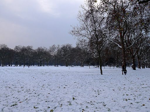 Investigation Launched After 15 Year Old Boy Is Found Frozen To Death In Kingston Park