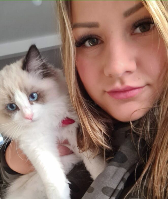 An Llegal Kitten Breeder And Scumtree Pet Peddle Coventry  Has Been Jailed And A Lifetime Ban