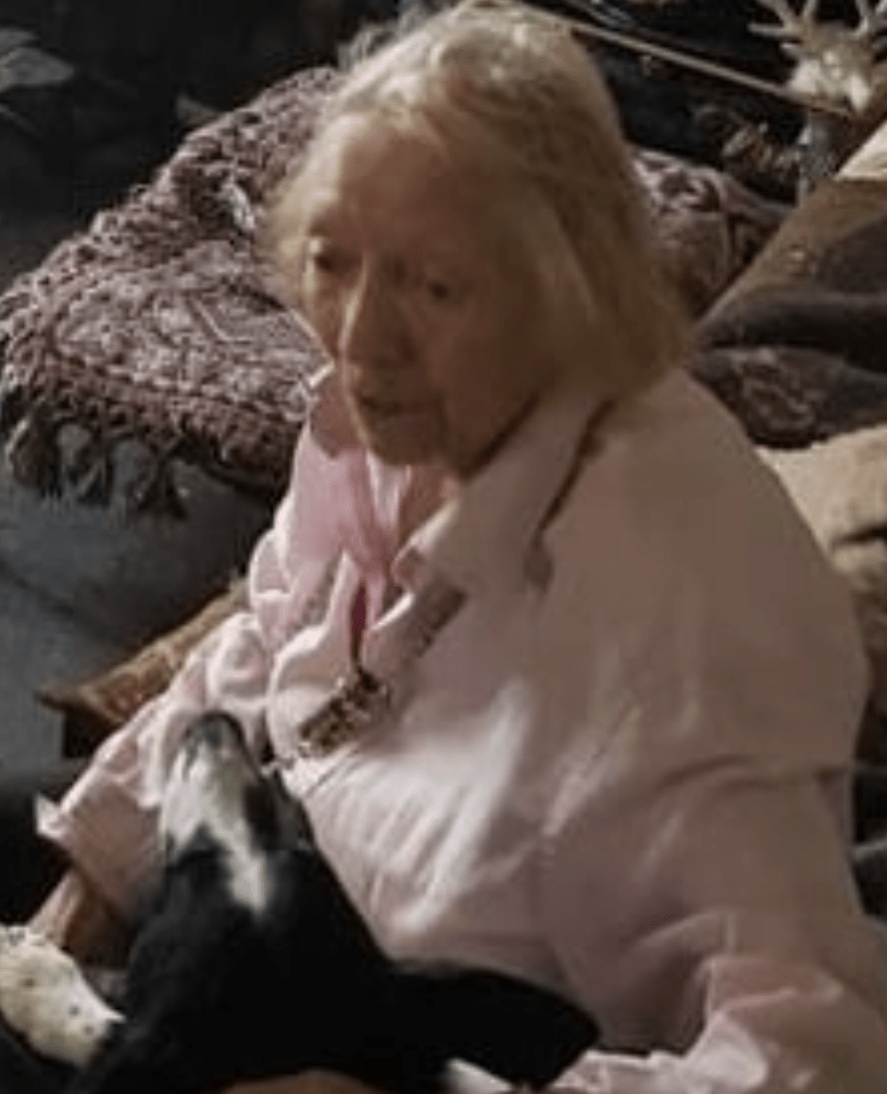 Police Launch Probe After Oap Purse Thefts In Eastleigh