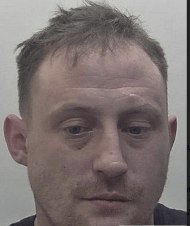 Have You Seen Him Or Can You Help Find Lewis Templeman