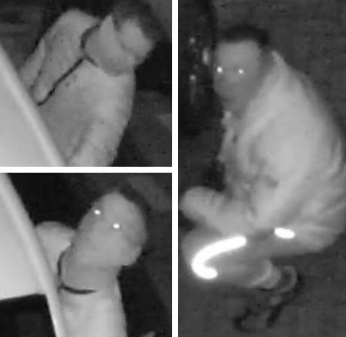 Officers Investigating Reports Of Thefts From Vehicles In Tonbridge Have Issued Images Of Two Men They Would Like To Identify
