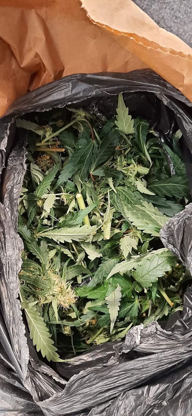 A Charity Shop In Fareham Had Rather An Unusual Donation This Week