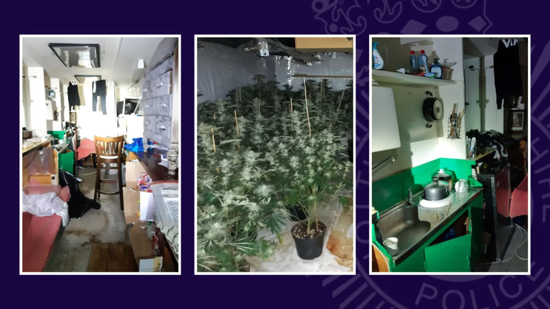 Police Have Shined A Spotlight On The Squalid Living Conditions Cannabis ‘gardeners’ Are Exposed To