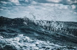 Have Your Say On Lyme Bay Sole Management