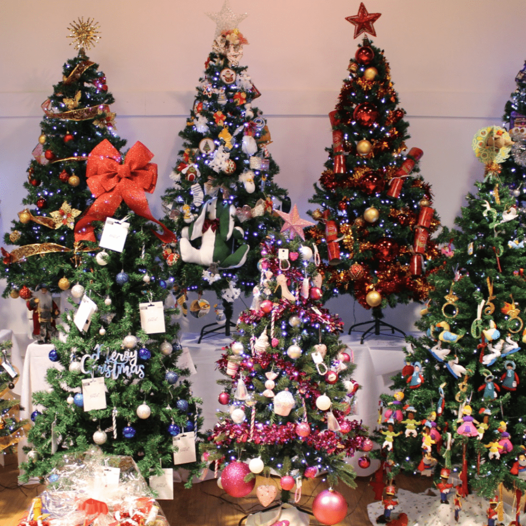 Francis House Children’s Hospice Hosts Festival Of Christmas Trees To Support Greater Manchester Families