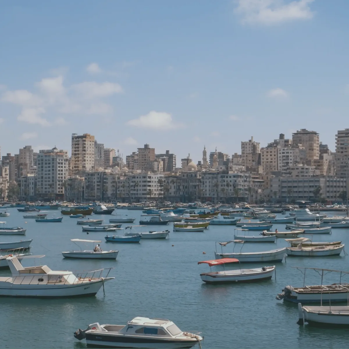 Tragic Shooting Incident In Alexandria Leaves Two Israelis And One Egyptian Dead