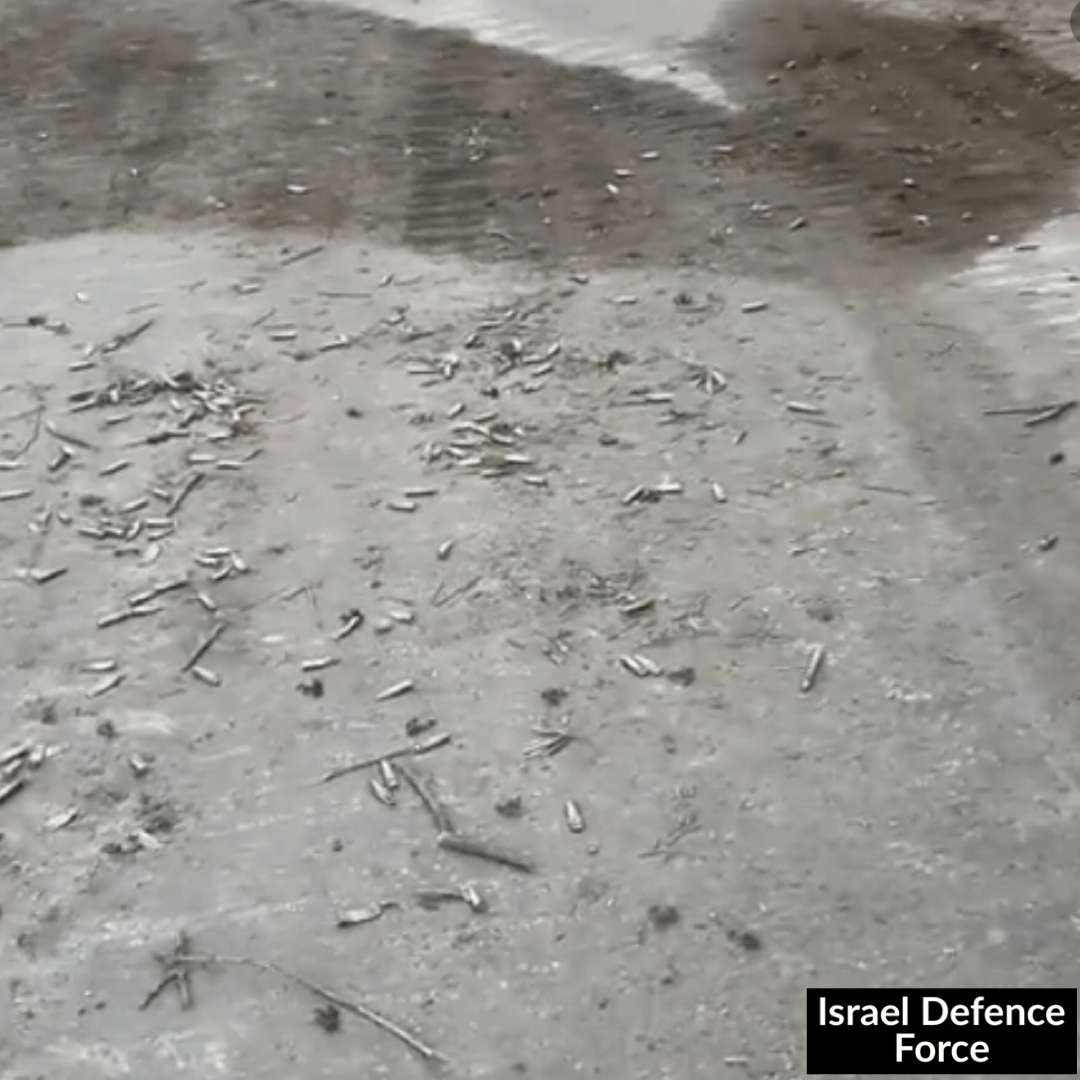 Egypt Warned Israel Of Potential Violence Prior To Hamas Attack, Us Official Reveals