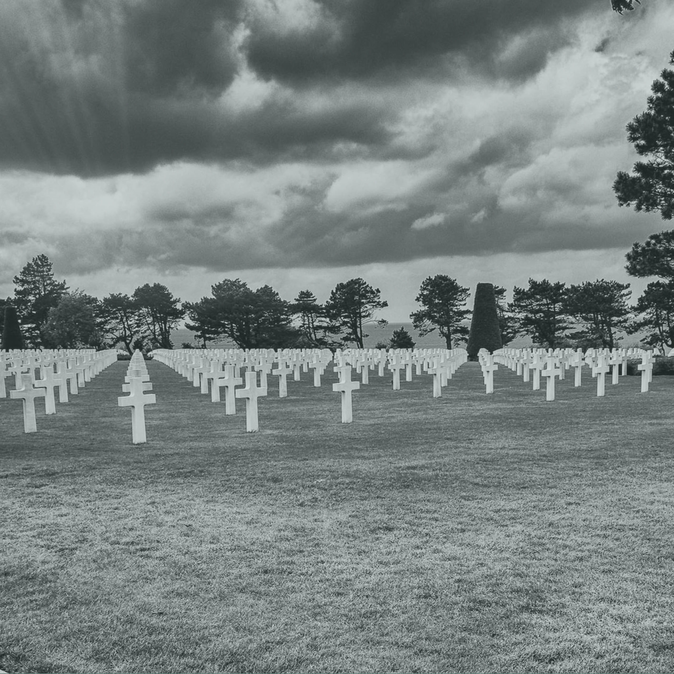 Ministry Of Defence And Veterans’ Charities Join Forces For 80th Anniversary Of Normandy Landings