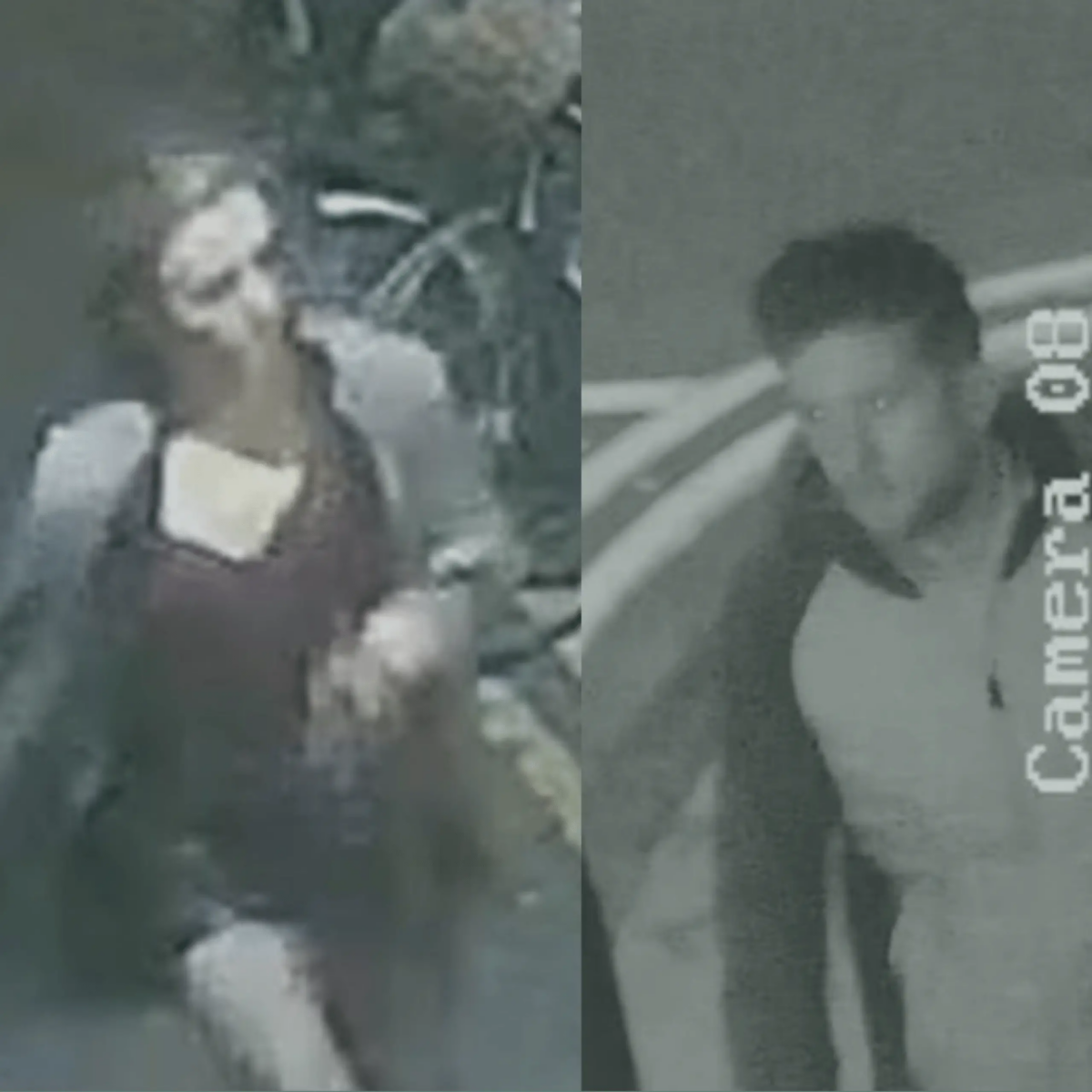 Brighton Police Seek Public Assistance in Identifying Suspects Involved in Trafalgar Street Stabbing