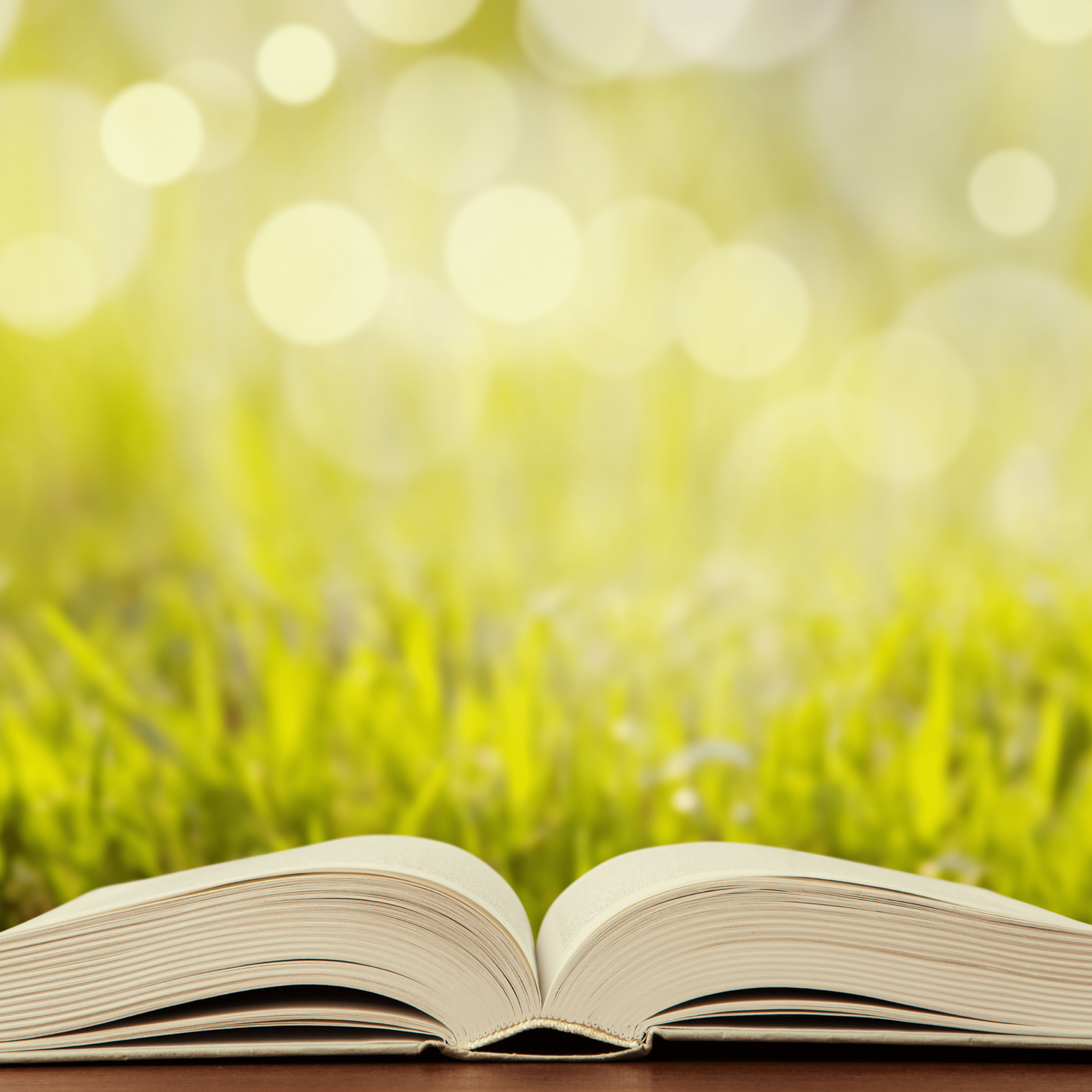 Memorial Book Open For Pregnancy And Baby Loss Prior To 24 Weeks In Scotland