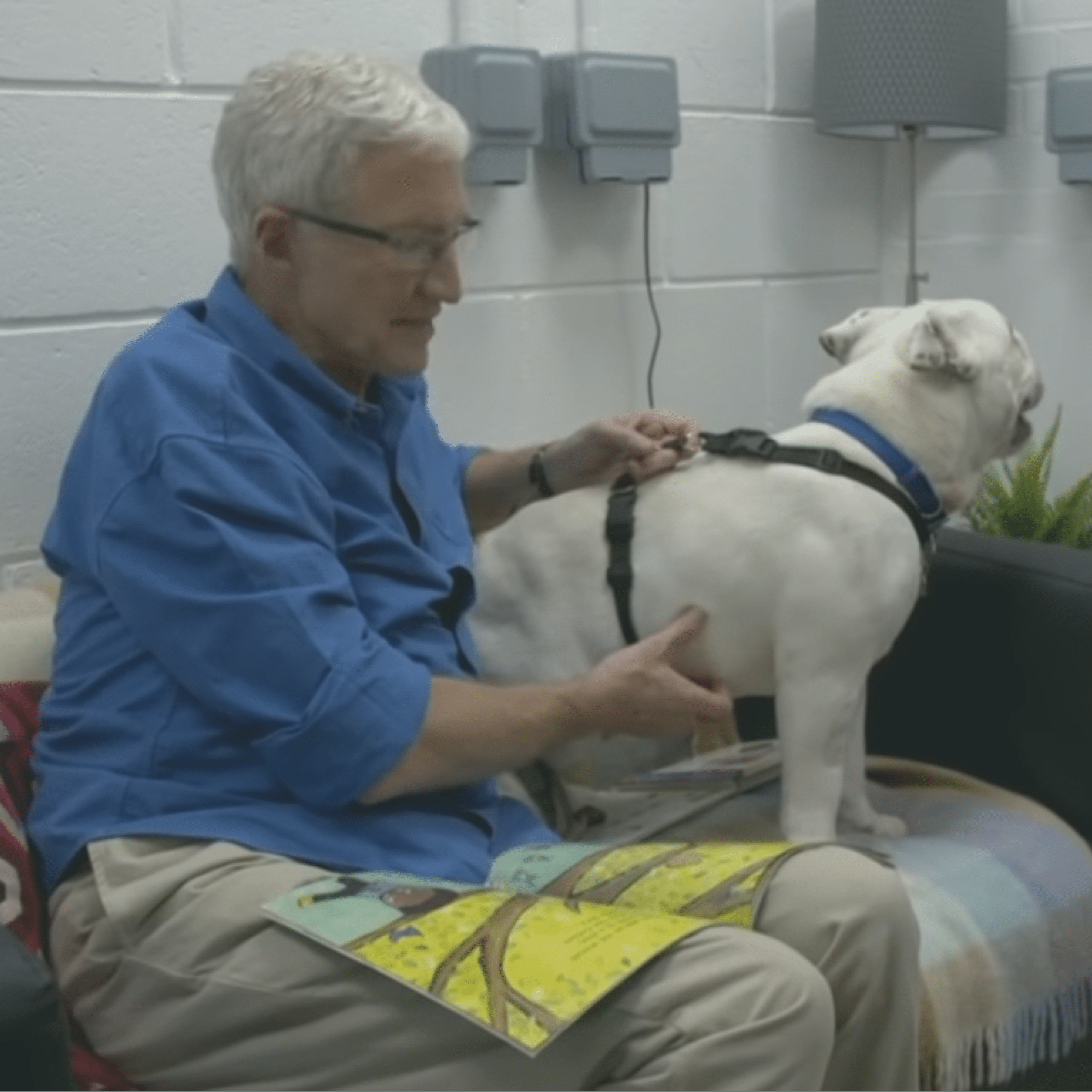 Battersea Dogs And Cats Home Honours Late Ambassador Paul O’grady With Veterinary Hospital Naming