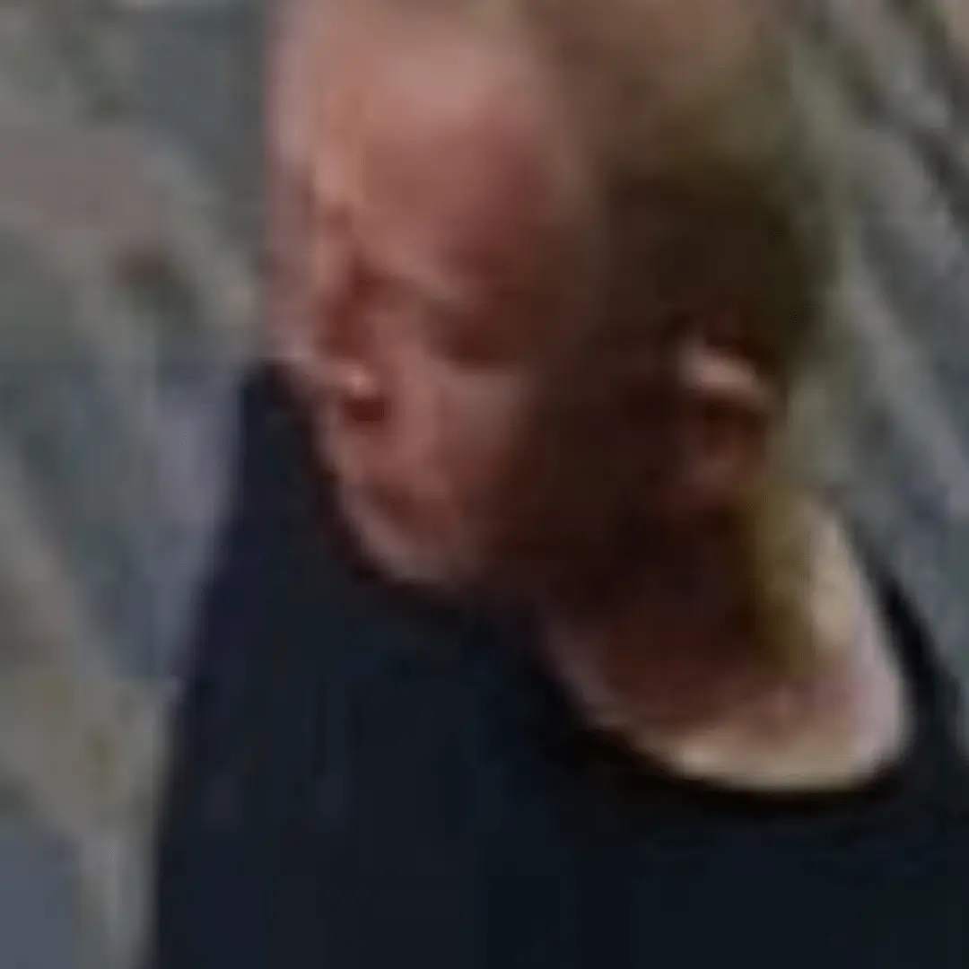 Police Seek Public Assistance After Dog Attack on Six-Year-Old in Cambridge